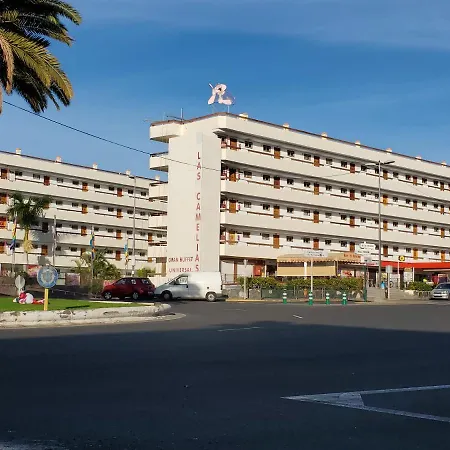 Apartahotel Vivienda Vacacional - Las Camelias Playa del Inglés